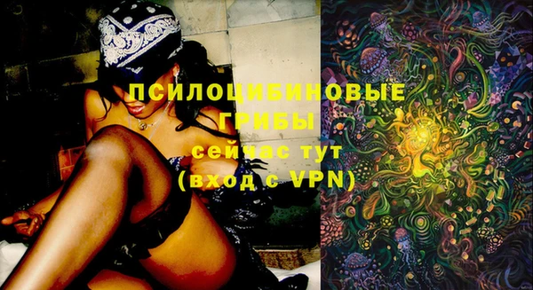 эйфоретик Магас