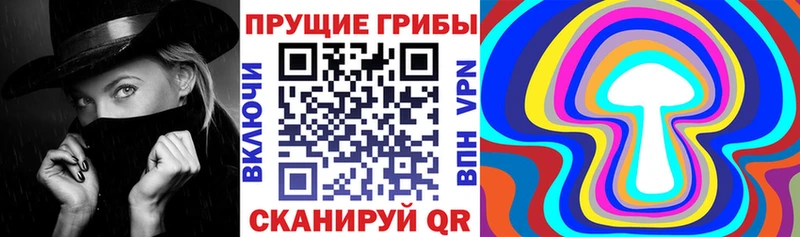 Псилоцибиновые грибы Psilocybine cubensis  Купить закладки  Княгинино 